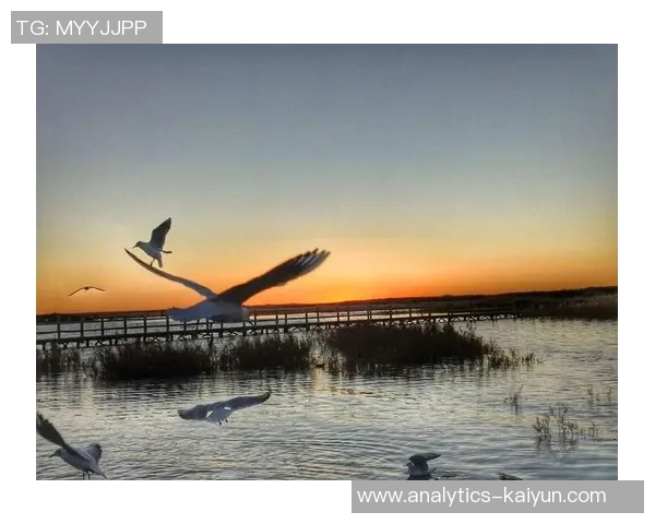 足球小将小林兄弟的成长之路与梦想追逐的热血故事